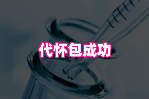 821孕网 3