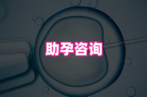 821孕网 4